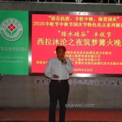 中国田间好丰景：探索农业丰收背后的奥秘